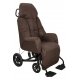 FAUTEUIL A POUSSER EVASION