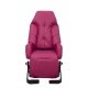 FAUTEUIL A POUSSER EVASION