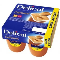 DELICAL CREME DESSERT SANS LACTOSE CARAMEL