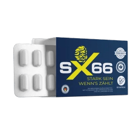 Sx66